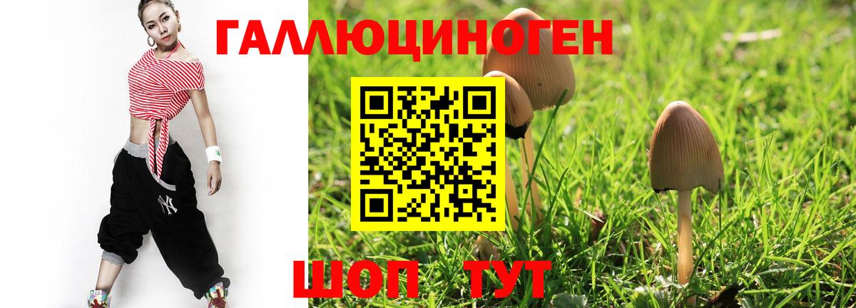 как найти закладки  Псилоцибиновые грибы MAGIC MUSHROOMS  Вход с VPN  Карталы 